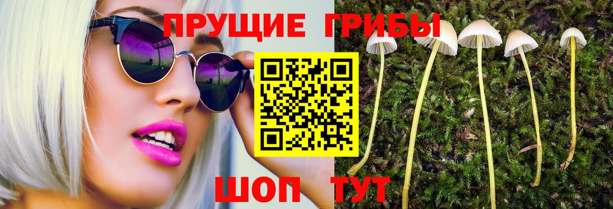 Галлюциногенные грибы мицелий  Вход с VPN  Волжский 